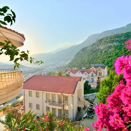 Vena Apartman